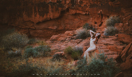 Amber Rose Mcconnell