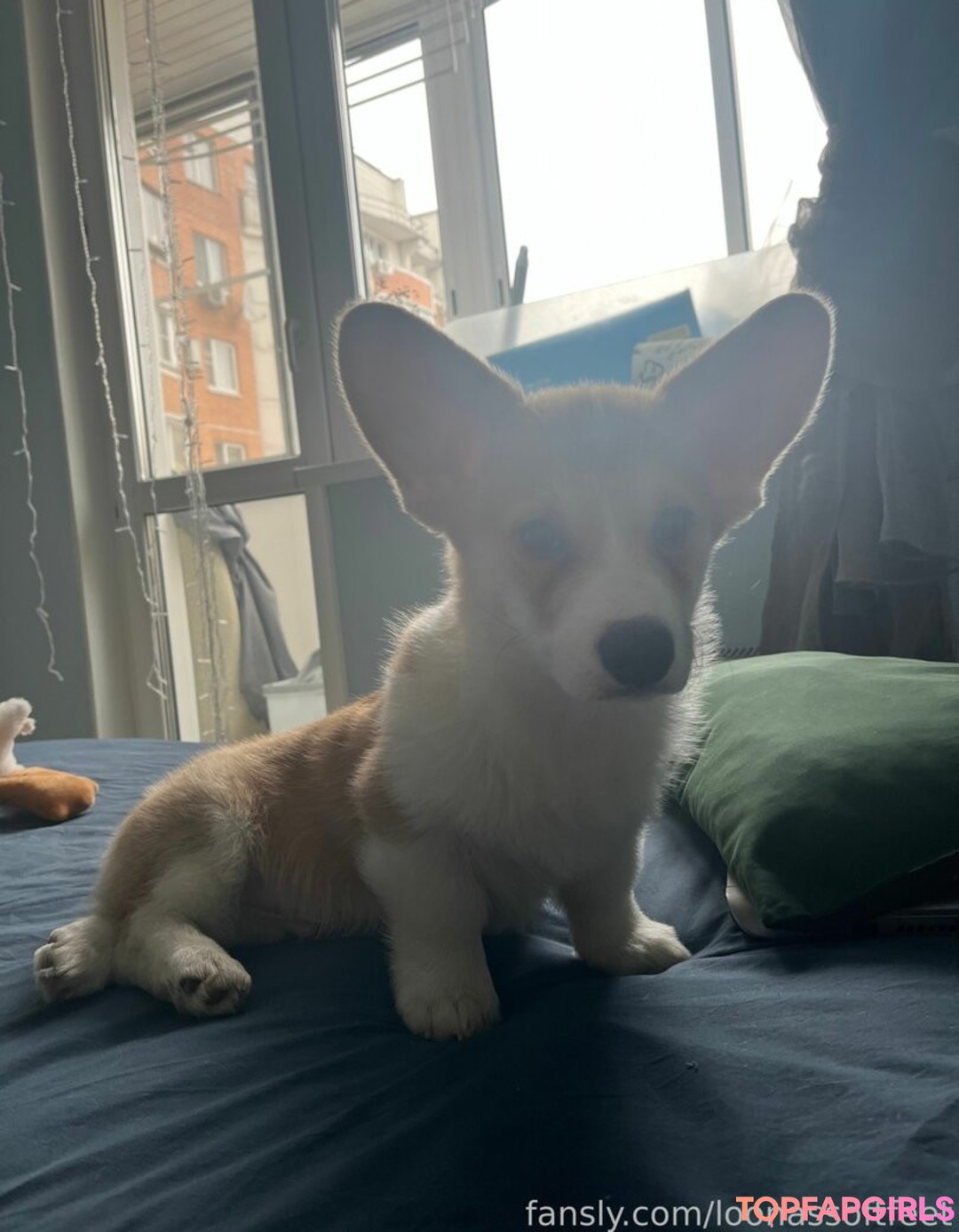 Nacktes geleaktes OnlyFans-Foto von Loona #1137