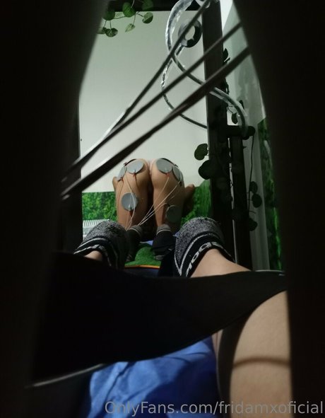 Fridamxoficial