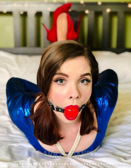 Dandyindistress