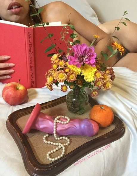 Digital_burrito_baby