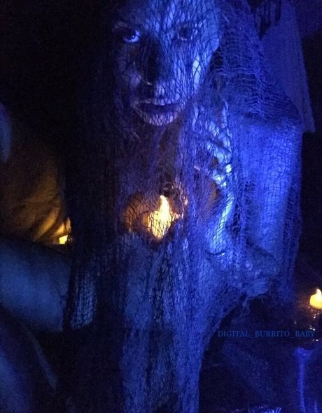 Digital_burrito_baby