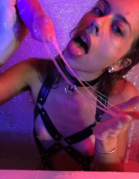 Digital_burrito_baby