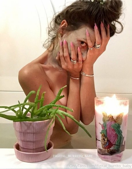 Digital_burrito_baby