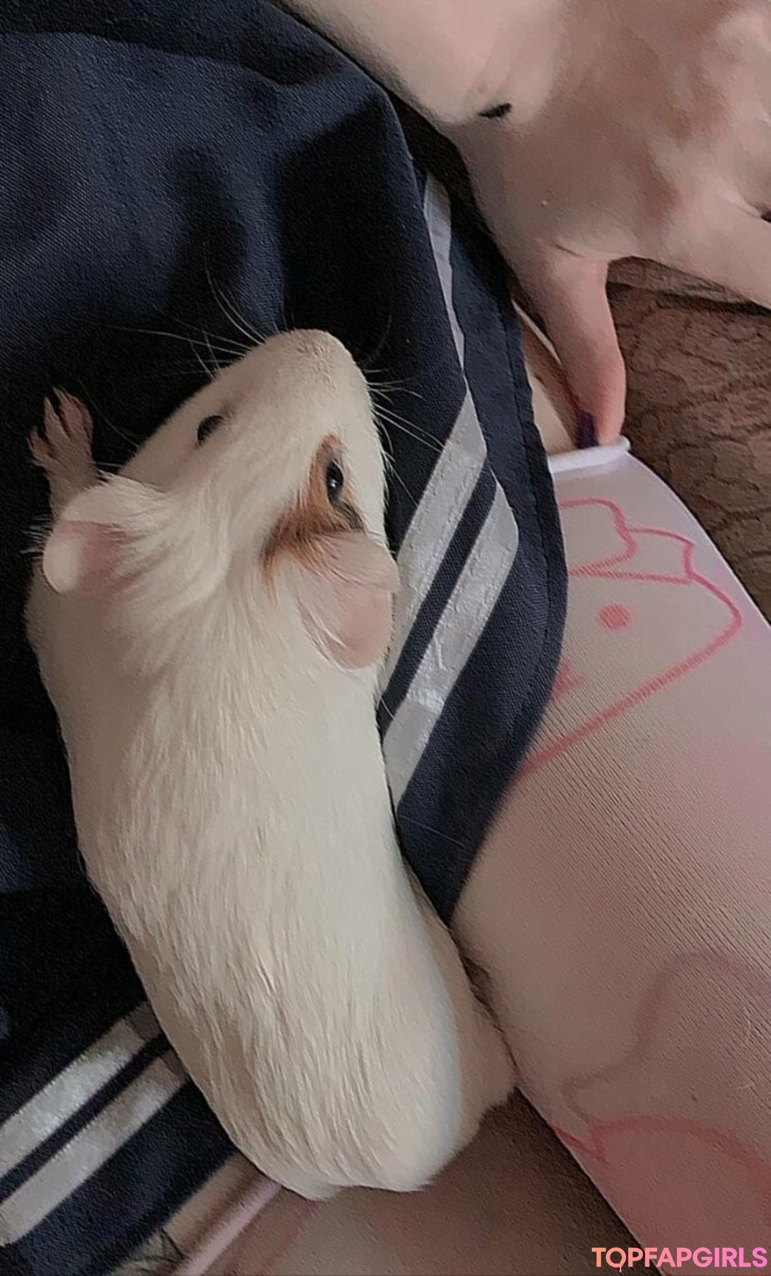 Nacktes geleaktes OnlyFans-Foto von Fluffyfulafel #493 Nacktes geleaktes OnlyFans-Foto von Fluffyfulafel #493