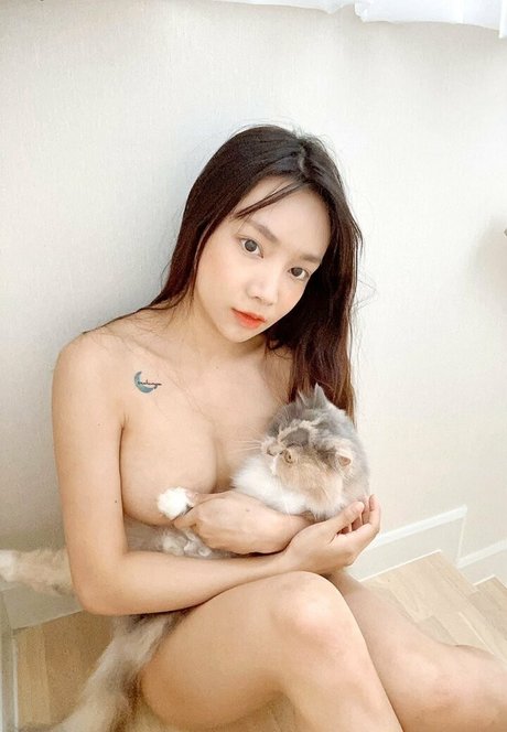 Bunny_ged