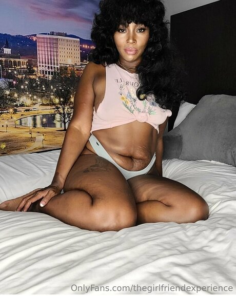 Thegirlfriendexperience