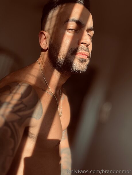 Brandonmor