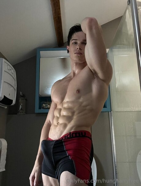Nacktes geleaktes OnlyFans-Foto von Hungharryfree