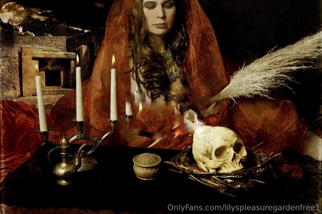 Lilyspleasuregardenfree1