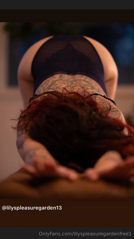 Lilyspleasuregardenfree1