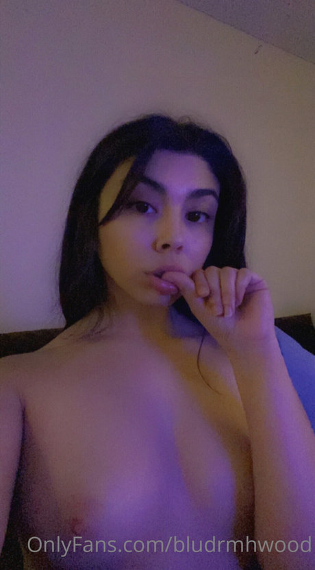 Blue Dream Hollywood