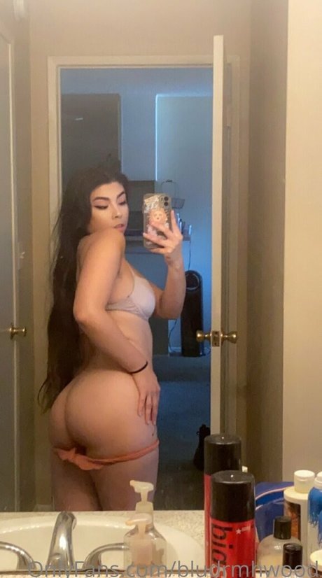 Blue Dream Hollywood