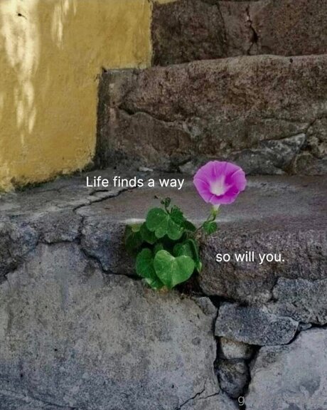 Nacktes geleaktes OnlyFans-Foto von Gnarlymarbles