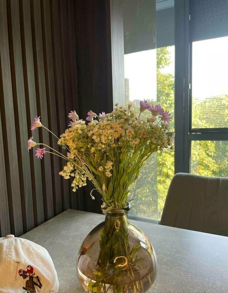 Aliceinwonderland_xo