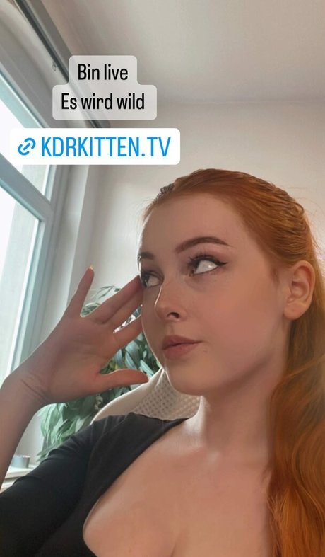 Kdrkitten