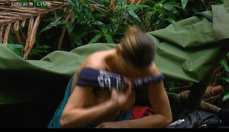 Ich bin ein Star – Holt mich hier raus!