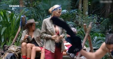 Ich bin ein Star – Holt mich hier raus!