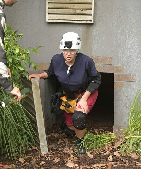 Ich bin ein Star – Holt mich hier raus!