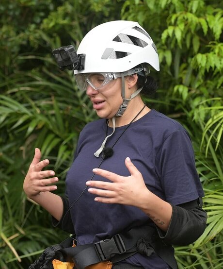 Ich bin ein Star – Holt mich hier raus!