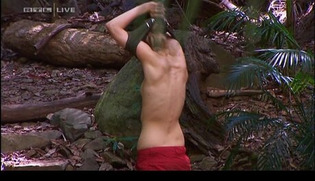 Ich bin ein Star – Holt mich hier raus!