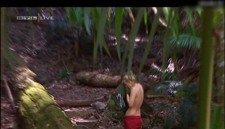 Ich bin ein Star – Holt mich hier raus!