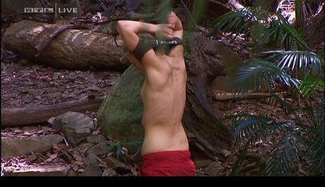 Ich bin ein Star – Holt mich hier raus!