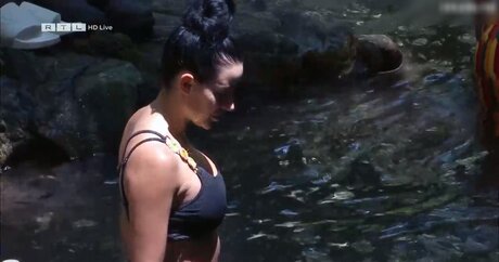 Ich bin ein Star – Holt mich hier raus!