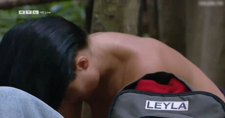 Ich bin ein Star – Holt mich hier raus!