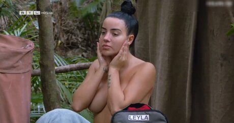 Ich bin ein Star – Holt mich hier raus!