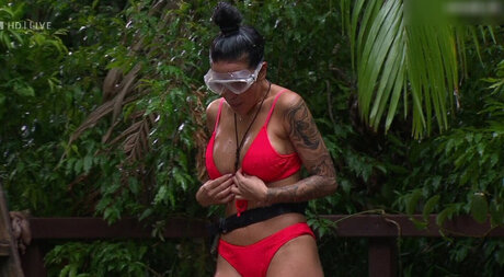 Ich bin ein Star – Holt mich hier raus!