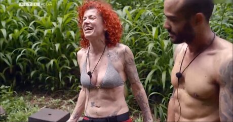 Ich bin ein Star – Holt mich hier raus!