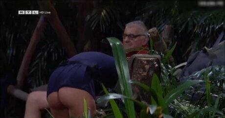 Ich bin ein Star – Holt mich hier raus!