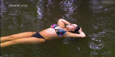 Ich bin ein Star – Holt mich hier raus!