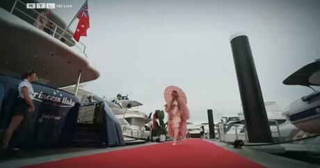 Ich bin ein Star – Holt mich hier raus!