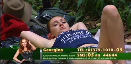 Ich bin ein Star – Holt mich hier raus!