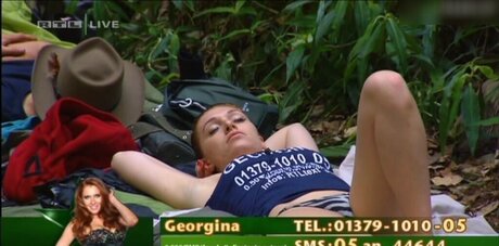 Ich bin ein Star – Holt mich hier raus!