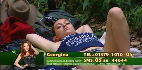 Ich bin ein Star – Holt mich hier raus!