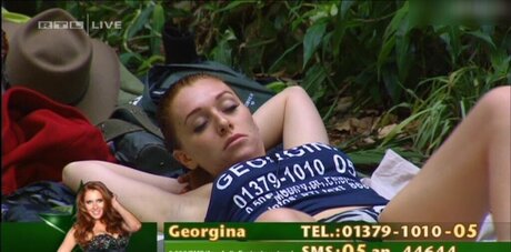 Ich bin ein Star – Holt mich hier raus!