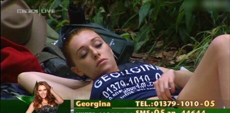 Ich bin ein Star – Holt mich hier raus!