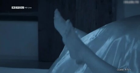 Ich bin ein Star – Holt mich hier raus!