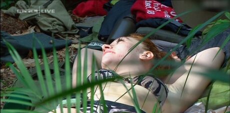 Ich bin ein Star – Holt mich hier raus!