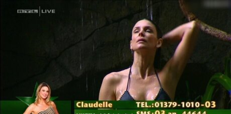 Ich bin ein Star – Holt mich hier raus!