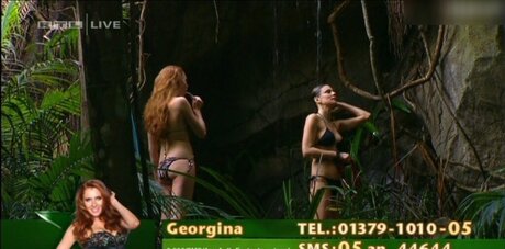 Ich bin ein Star – Holt mich hier raus!