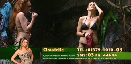 Ich bin ein Star – Holt mich hier raus!