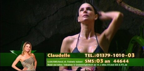 Ich bin ein Star – Holt mich hier raus!