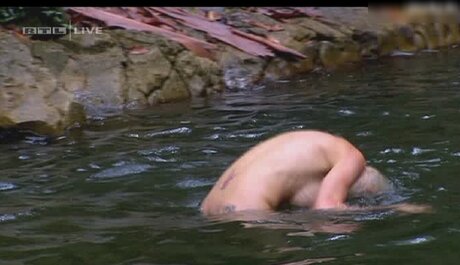 Ich bin ein Star – Holt mich hier raus!