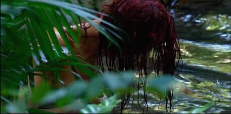 Ich bin ein Star – Holt mich hier raus!