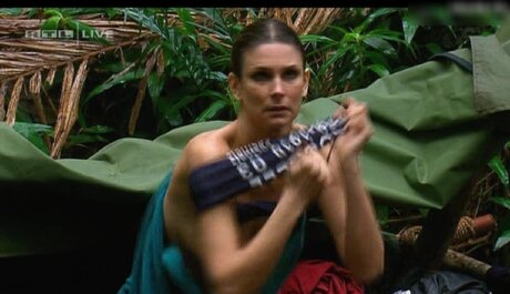 Ich bin ein Star – Holt mich hier raus!