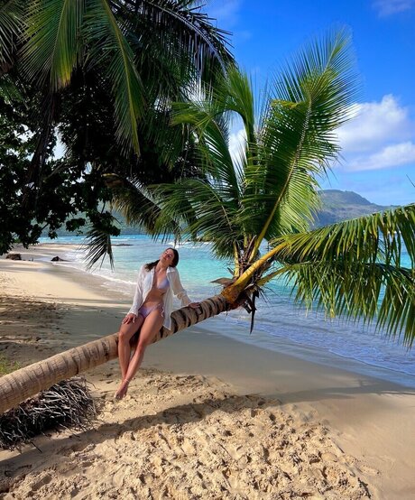 Lexi_Si / ziehl_abegg